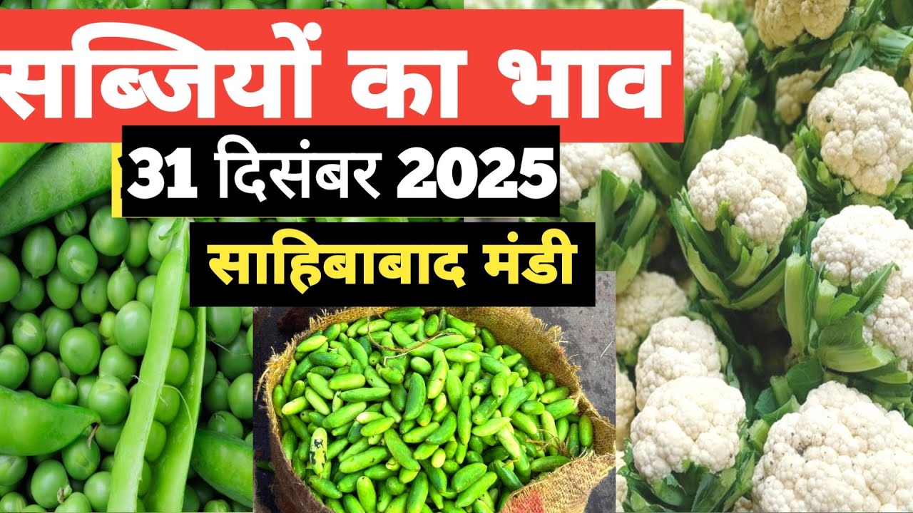 31 December 2025 🥦 सब्जियों का भाव साहिबाबाद   मंडी | today vegitables rates #mandirates #mandi 
