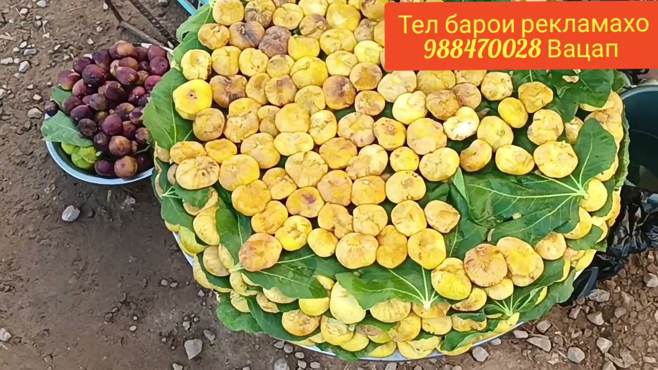 Исфара Чумьа бозори Чилгази