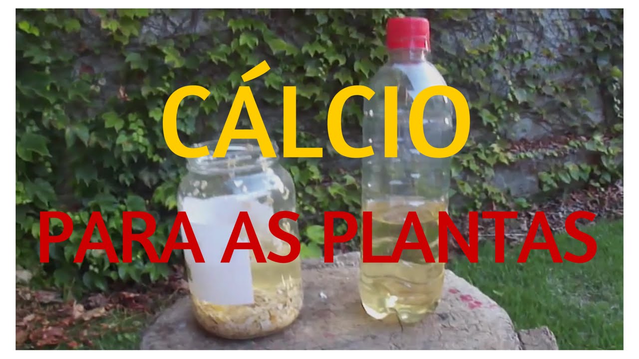 Como fazer adubo org&acirc;nico: Solu&ccedil;&atilde;o de C&aacute;lcio