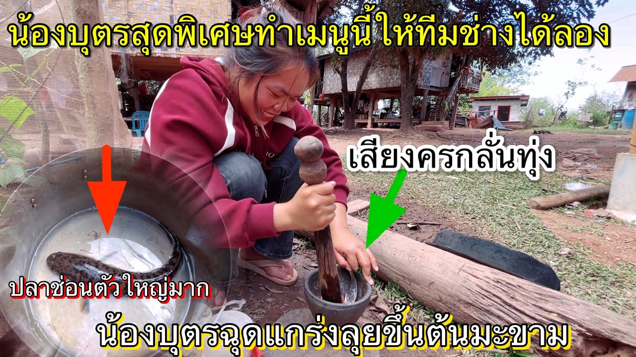 เสียงครกน้องบุตรลั่นทุ่งทำเอาช่างสะดุ้งทั้งทีมงาน ￼3 กุมภาพันธ์ ค.ศ. 2026