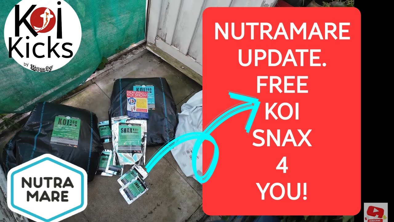 Nutramare 360 SINK, FLOAT UPDATE & SNAX! FREE GIFT FOR YOU.