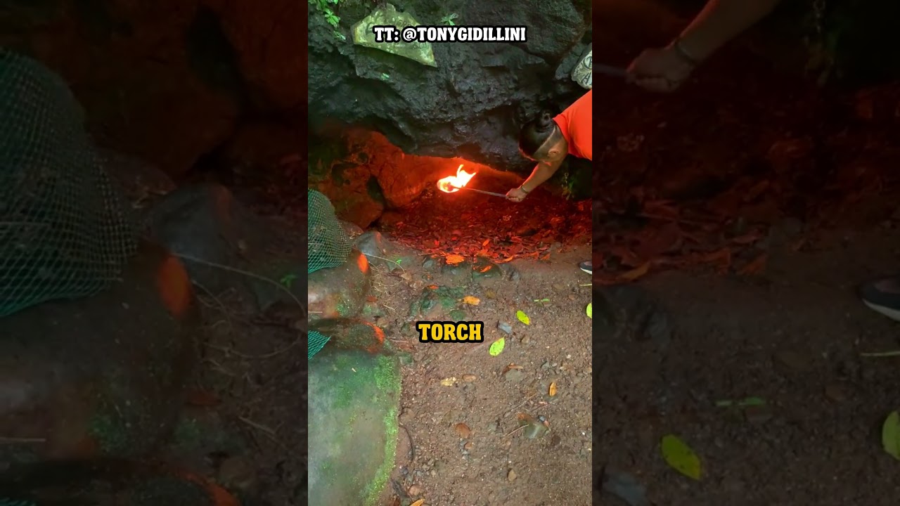 CO2 In Cave