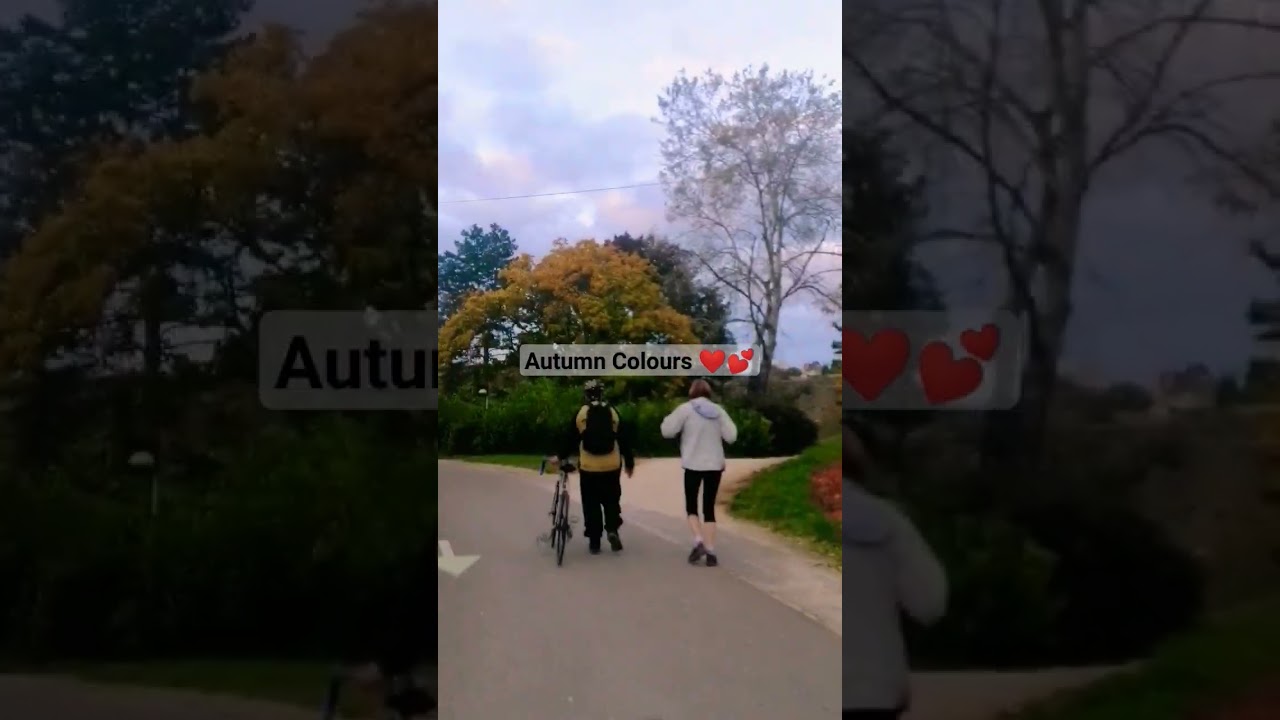 #travel #france #autumn #love #story