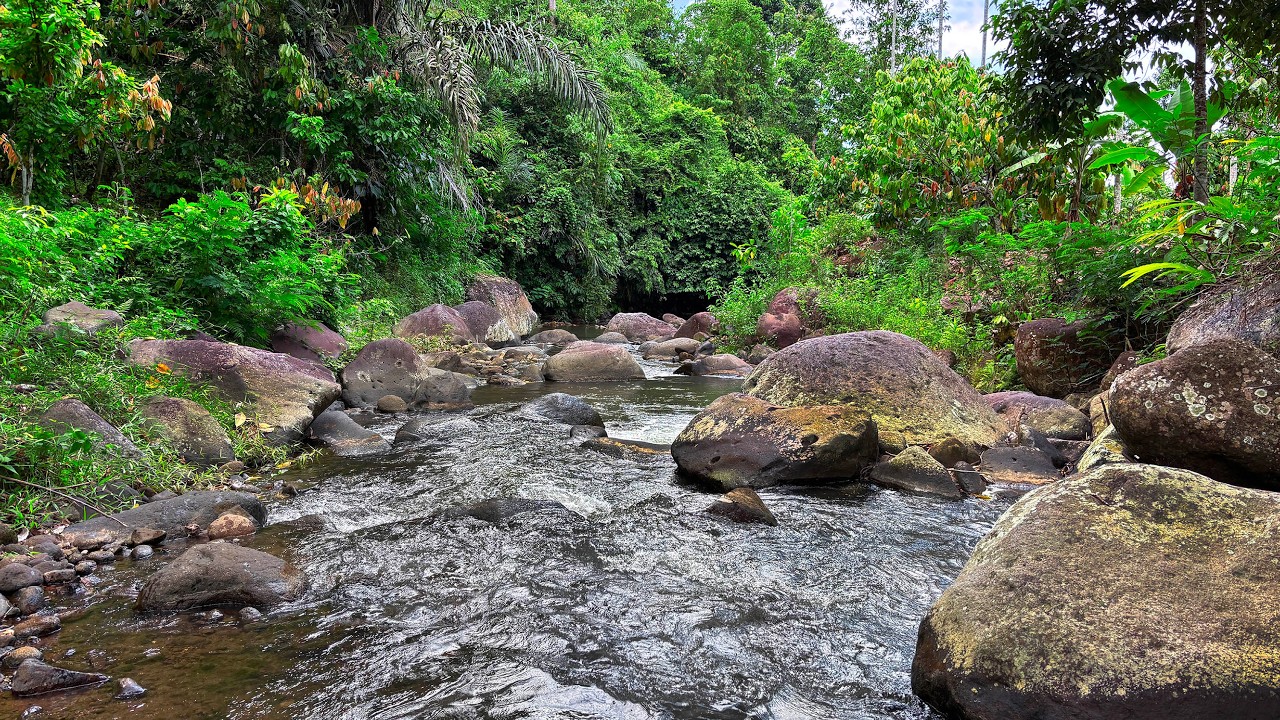 Relax, Unwind & Sleep Soundly with Quiet Forest River Over Ancient Stones and Calming Water Sounds