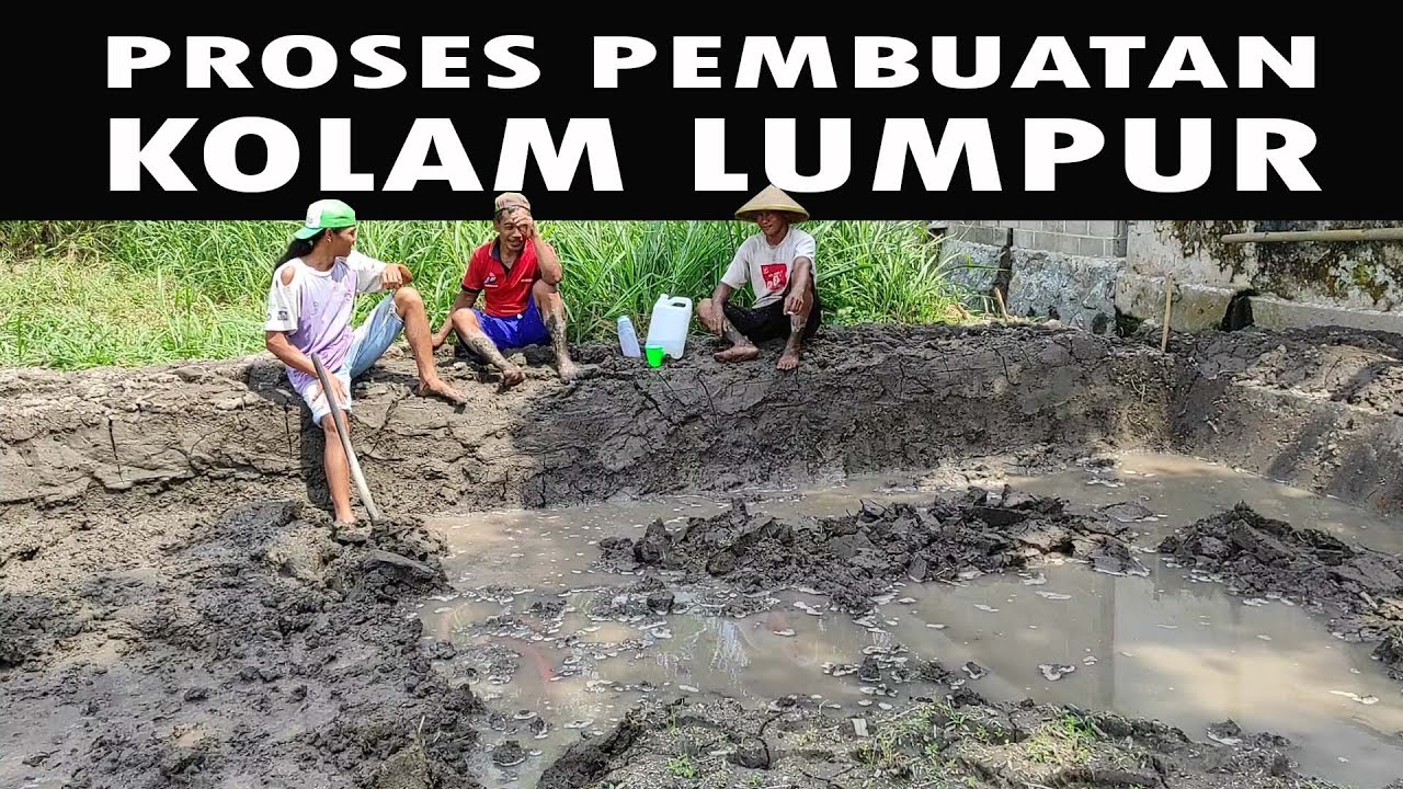 PROSES AWAL PEMBUATAN KOLAM LUMPUR IKAN KOI | MUD POND