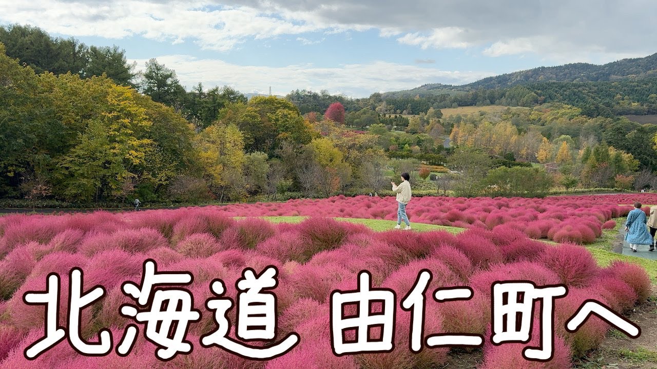 【小旅行Vlog】北海道 由仁町へ|ゆにガーデン|牛小屋のアイス|カフェランチ