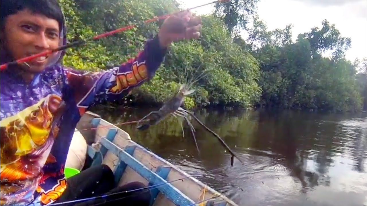 Spot yang didambakan full strek udang