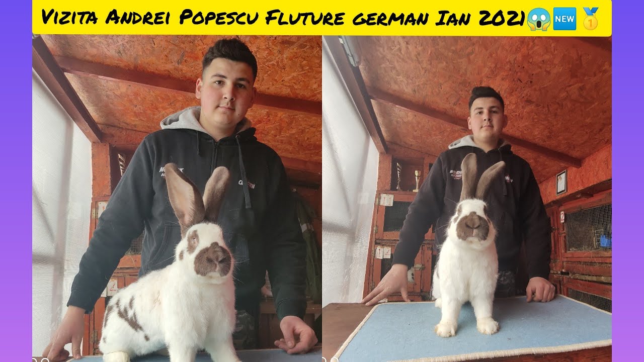 Vizita Andrei Popescu prezentare matca fluture german ianuarie 2021😱🆕👍🥇