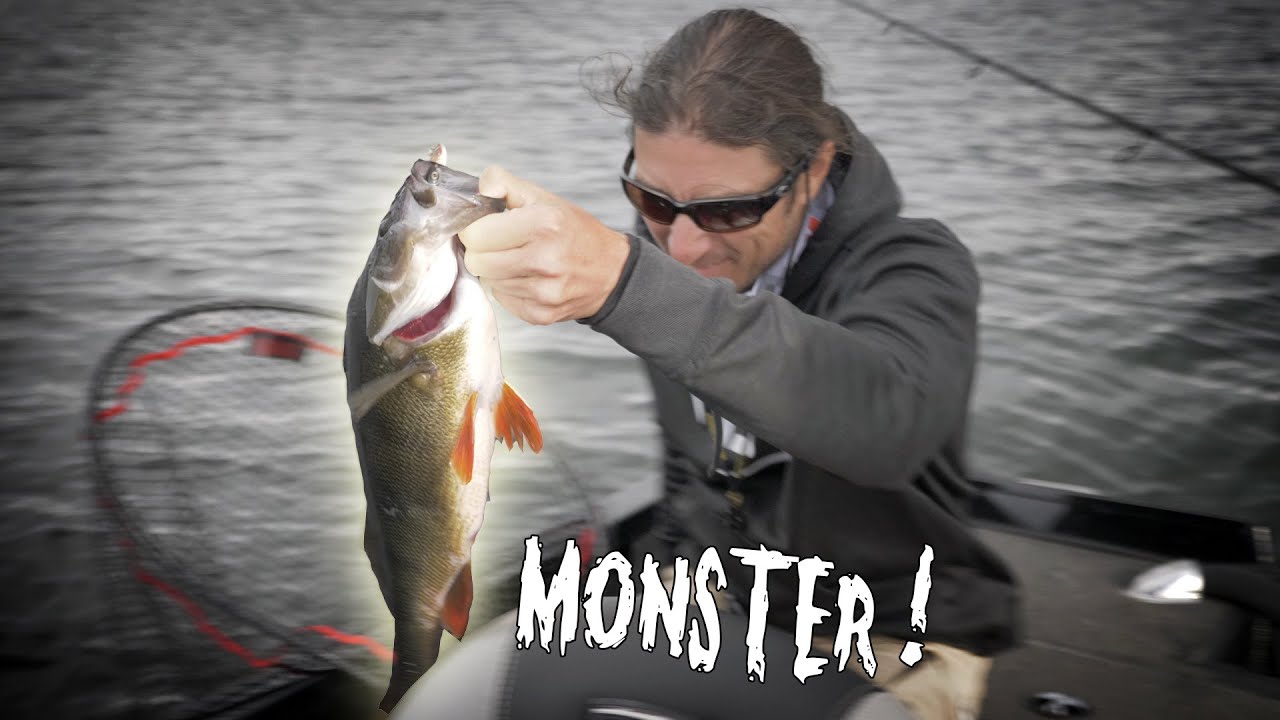 MONSTER PERCH in an AMAZING Place ! (English sub)