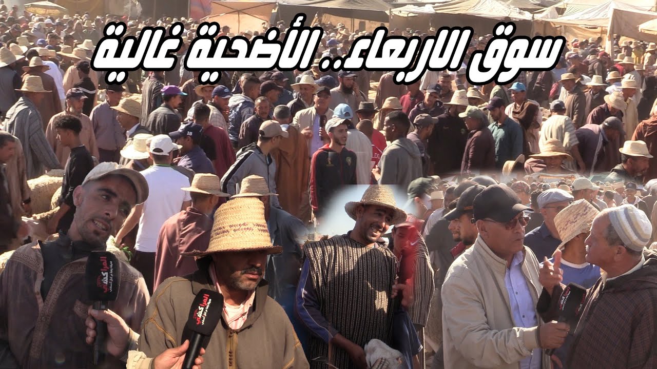 سوق الاربعاء.. الأضحية متوفرة والثمن غالي والبايع والشاري مضرورين