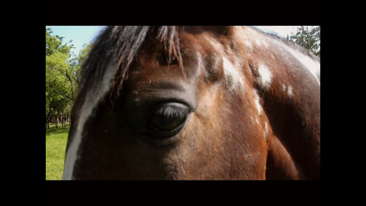 &hearts; Nader has Spots! &hearts;