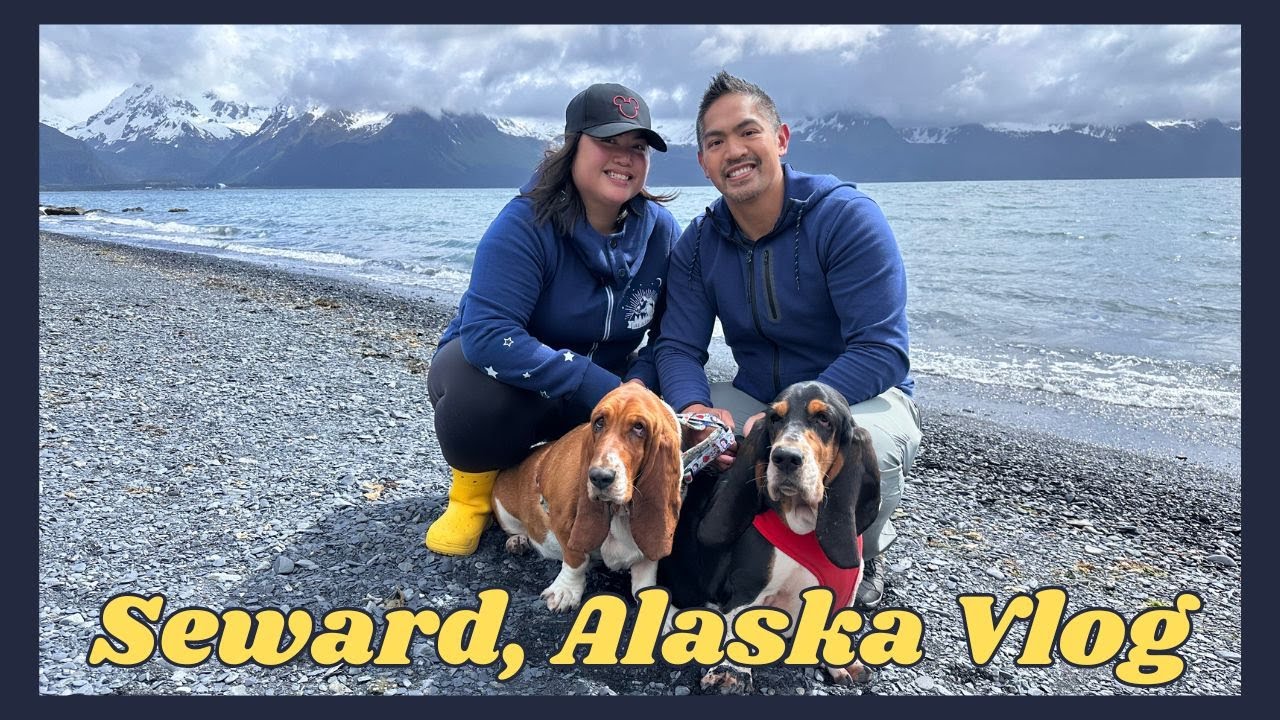 ALASKA VLOG | Поездка в Сьюард, ледник Экзит, Центр морской жизни Аляски, набережная Рэйс, пляж Л...