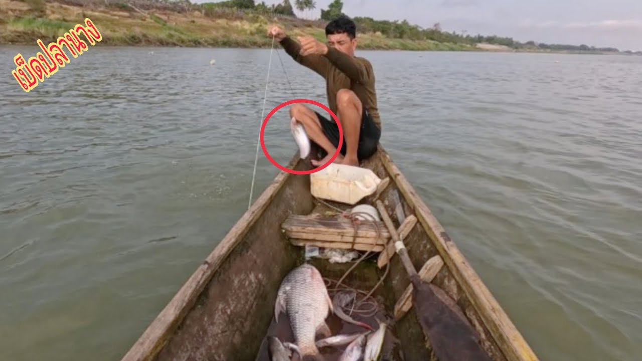 เบ็ดราวปลานางแม่น้ำโขงได้ตัวใหญ่หมานๆ/นาเวียงแกอินดี้