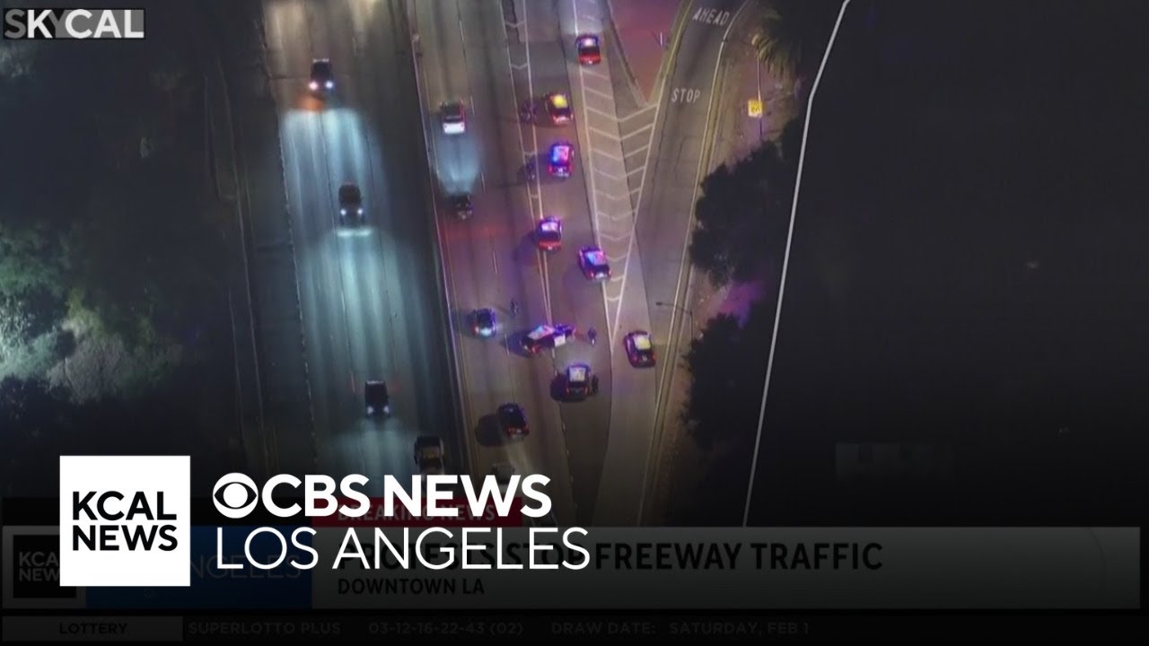 Protests briefly disrupt traffic on 101 Freeway