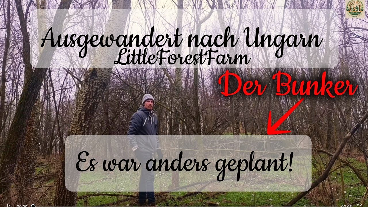 Bin am #verzweifeln! ABER aus #Fehlern lernt man! #waldleben🌳 #wald🙏 #handwerk 🙌#auswandern 👋