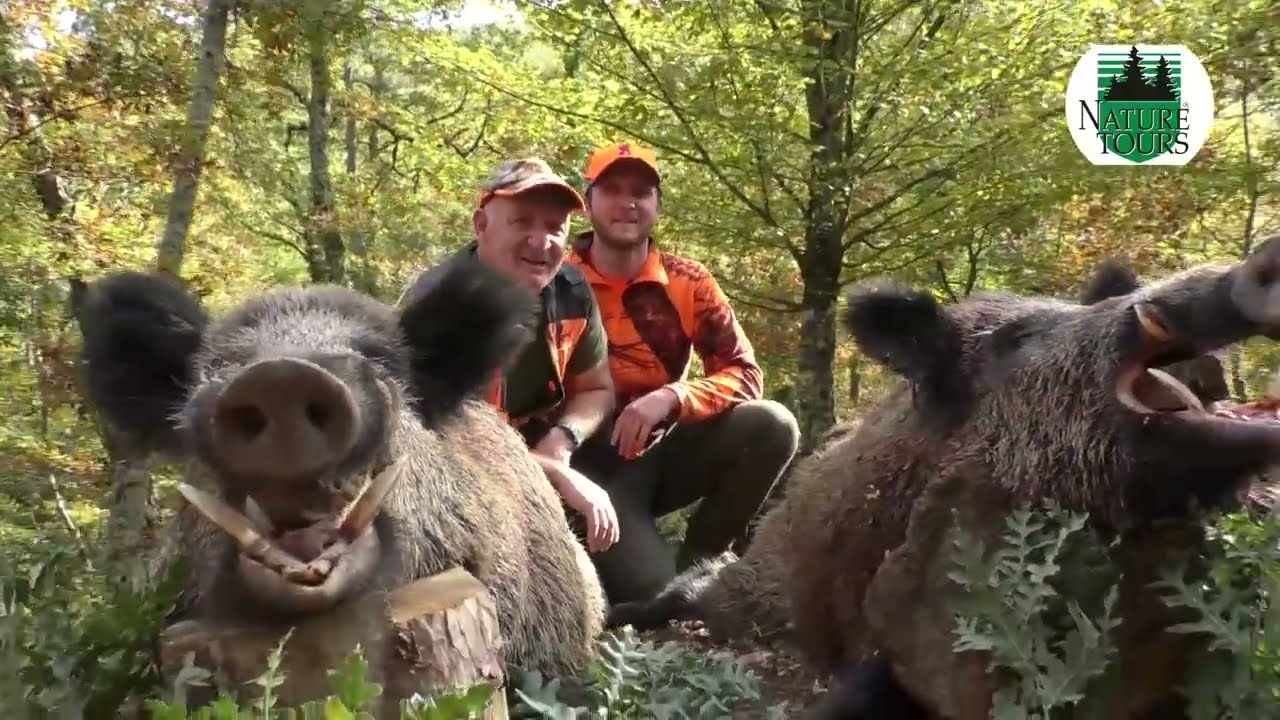 Battues a Kalkim Avec Nature Tours Turquie