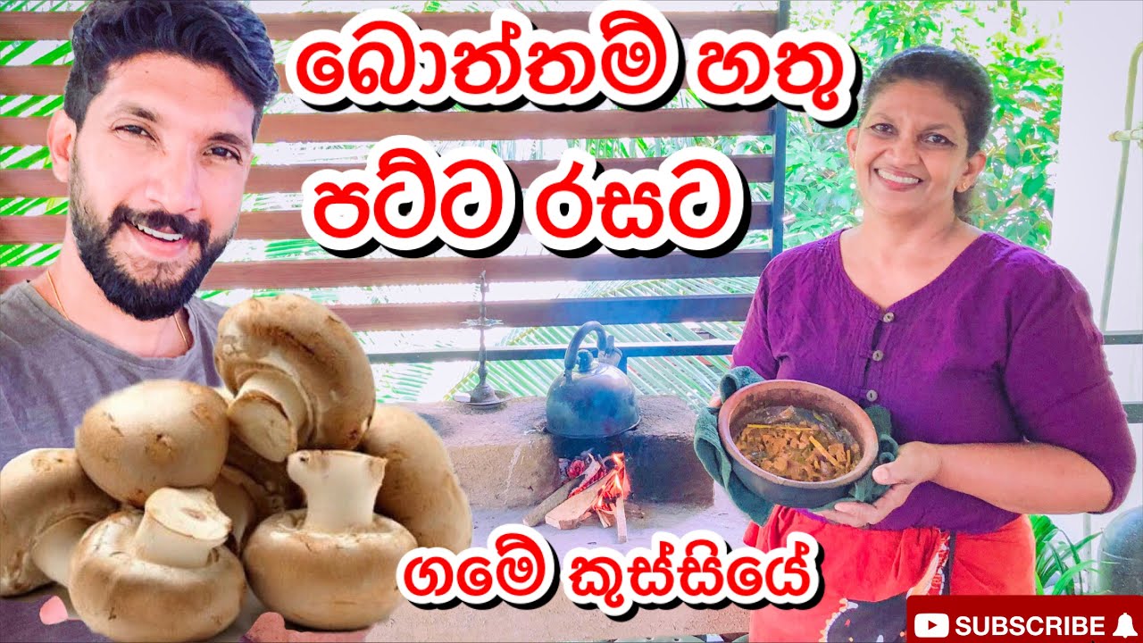 බොත්තම් හතු මස් රසට|Button Mushrooms-Sangeeth Vlogs|Sangeeth Satharasinghe