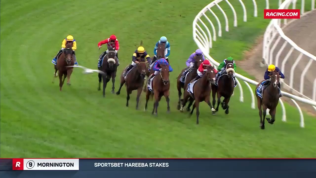 Hareeba Stakes 2025 - THE INSTRUCTOR (Hcp LR) Listed Mornington 19 April