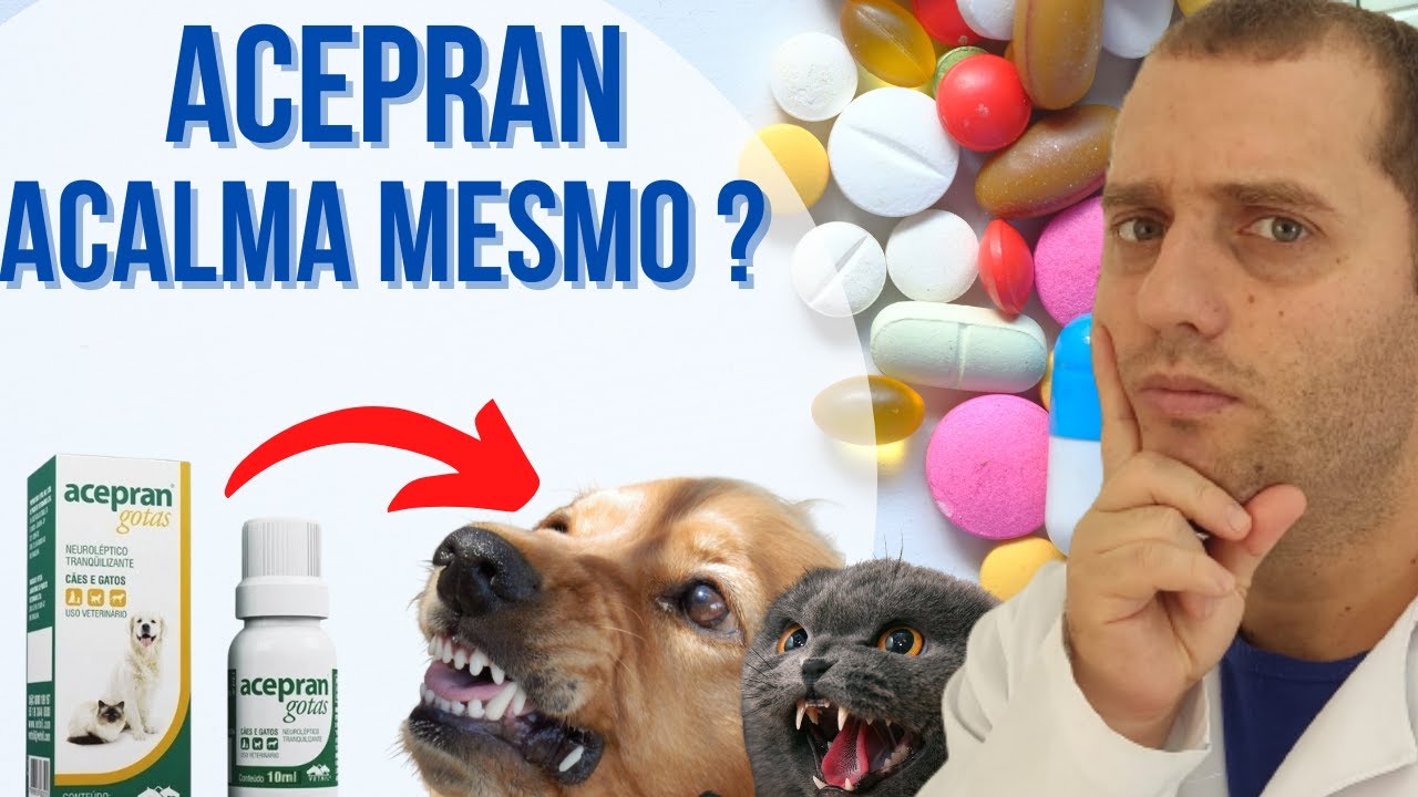 Posso dar acepran para acalmar cães e gatos ?