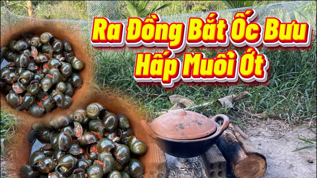 Ra Đồng Bắt Ốc Bưu Hấp Muối Ớt #132