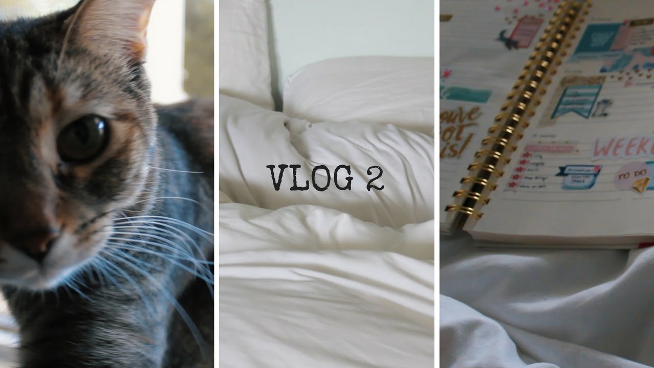 Weekly Notes | Vlog 2