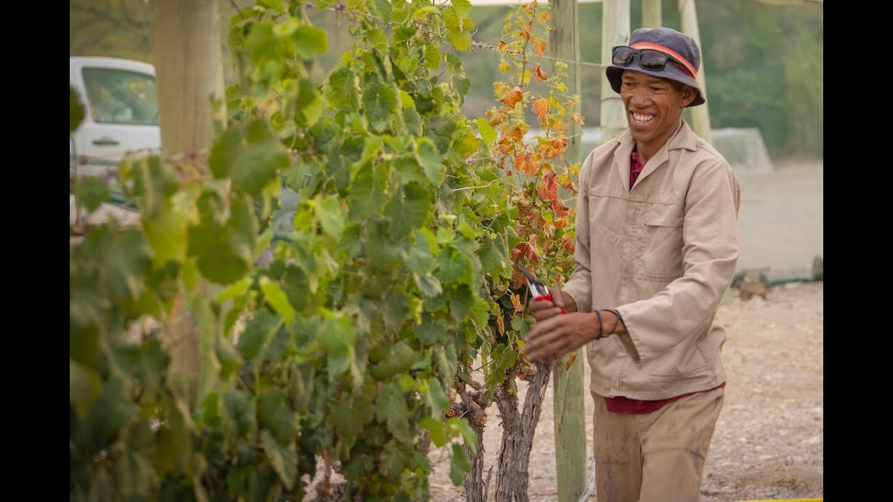 Double Gold in the Desert