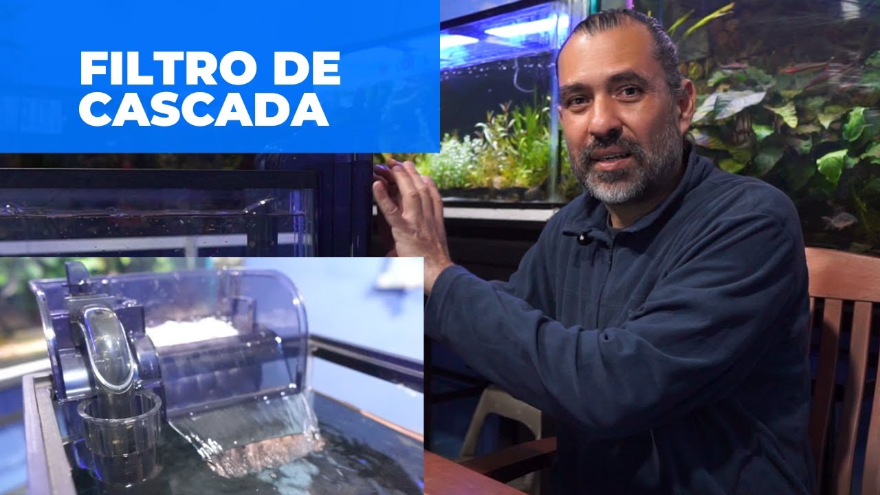 Filtro de cascada, el mejor filtro para tu pecera?