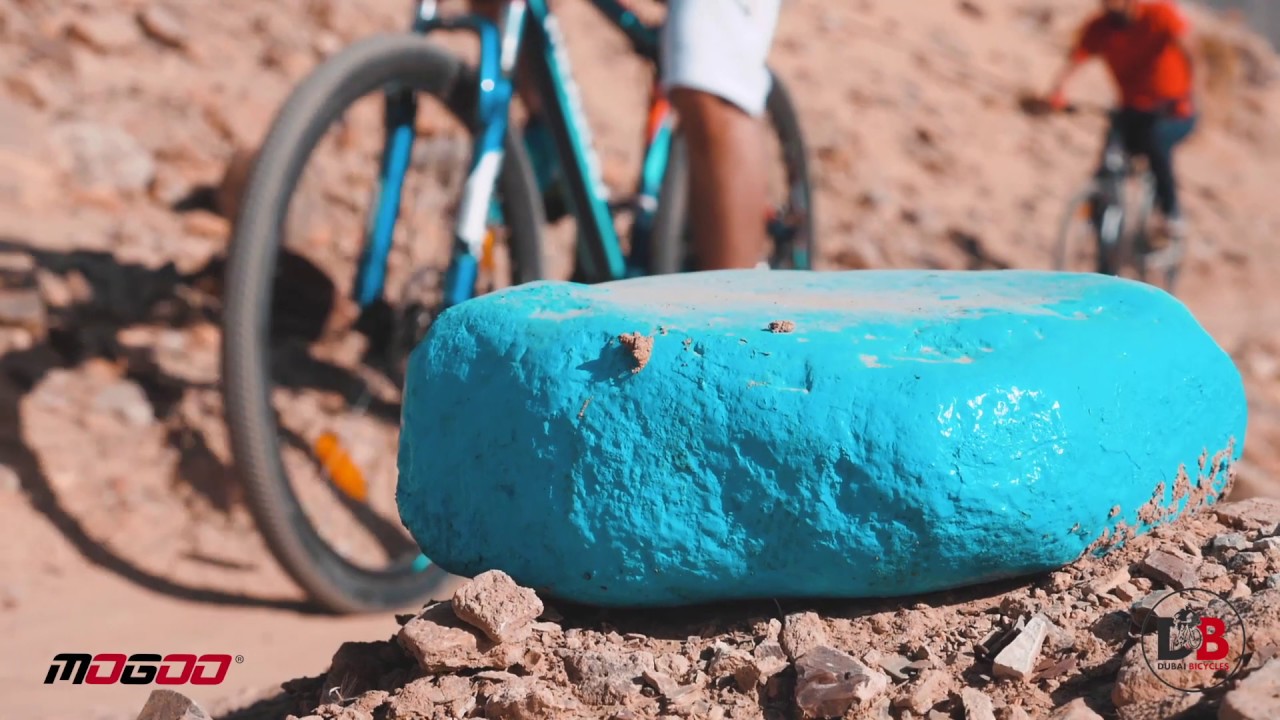 Mogoo Bicycles