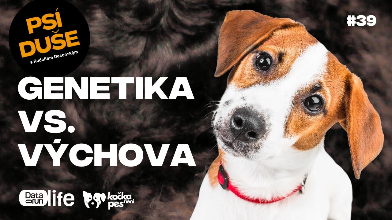 Genetika vs. výchova: Co skutečně formuje psa? | Psí duše #37
