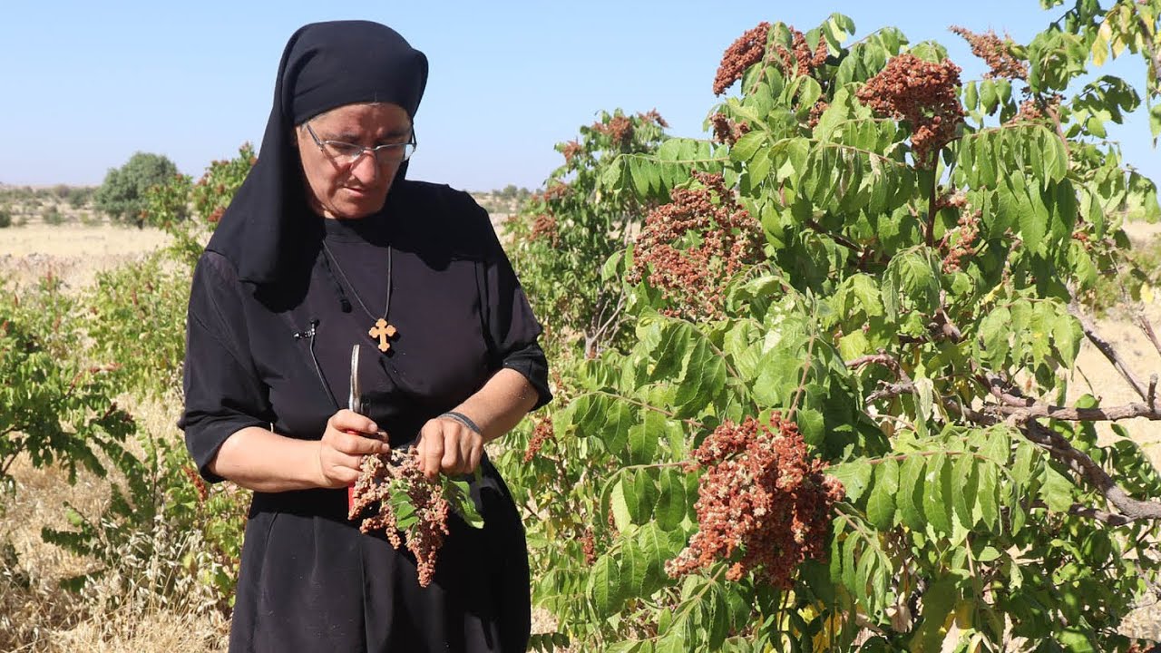 Avrupayı bırakıp Köy hayatını seçti ! | Süryani Rahibe Hatune Doğan, #Midyat, #Rahibe, #HatuneDogan,