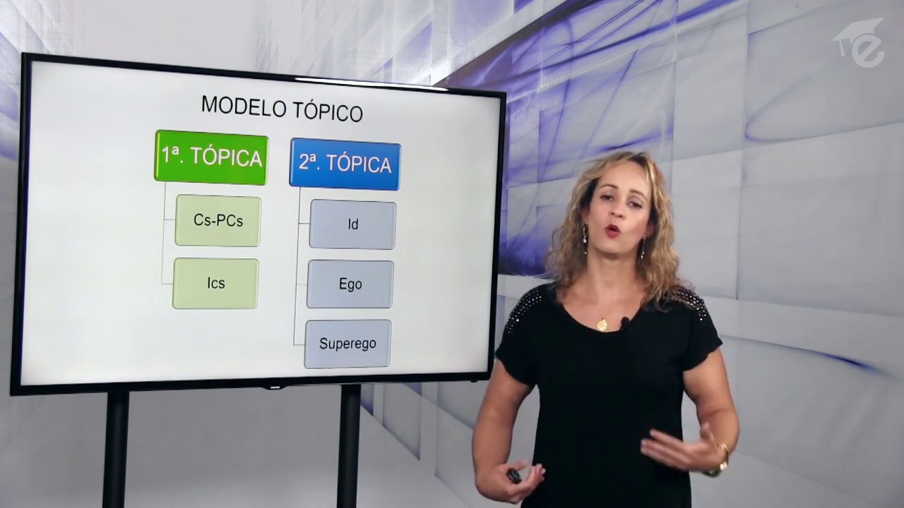 Metapsicologia Psicanalítica