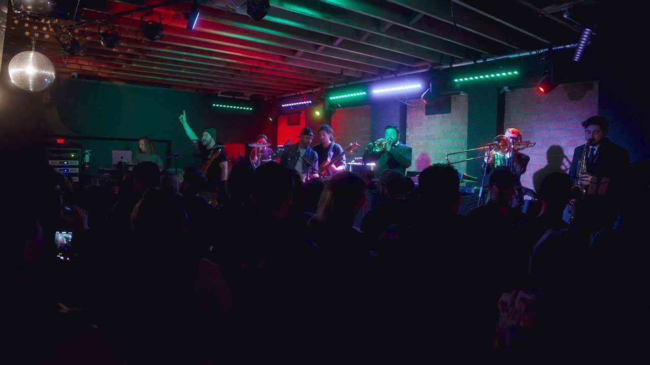 Seedheads | Winston's OB | Live (Full Set)