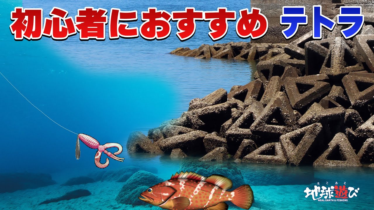 【テトラでアコウ】ポイントが解らない人はまずはここから！【地球遊び283】