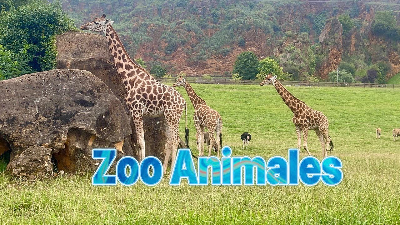 Zoo Animales CANTABRIA