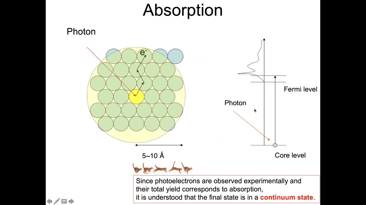 Interpretations of X-ray core electron spectroscopies in the framework of Multiple Scattering Theory
