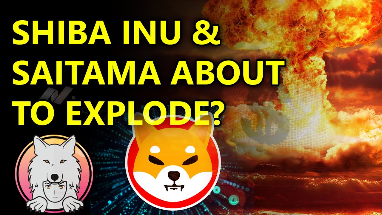 SAITAMA IS ON EXPLODING! SAITAMA INU - EXPLANATION & PRICE PREDICTIONS! SAITAMA TOKEN!