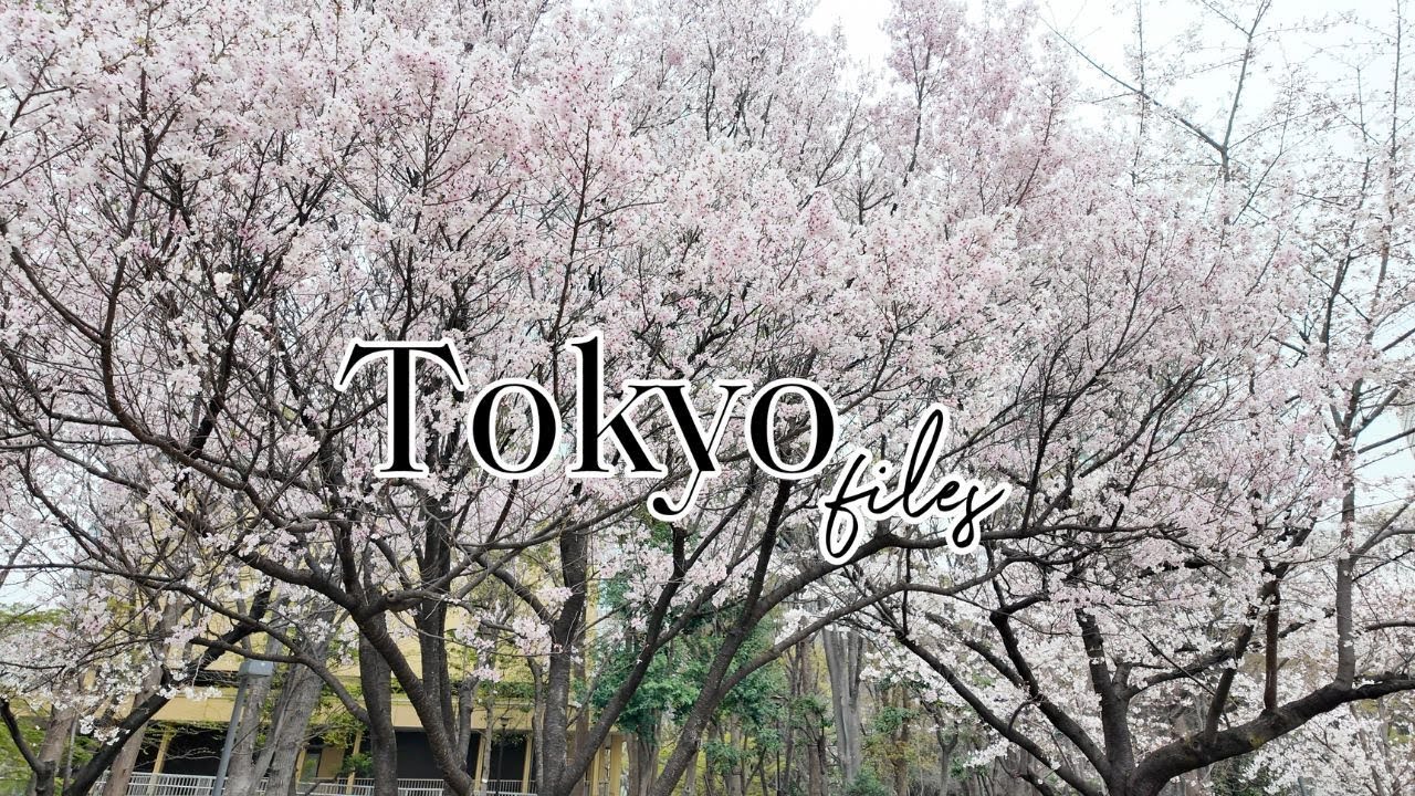 JAPAN FILES | Tokyo with the family, yummy food, Disneyland, exploring, and shopping