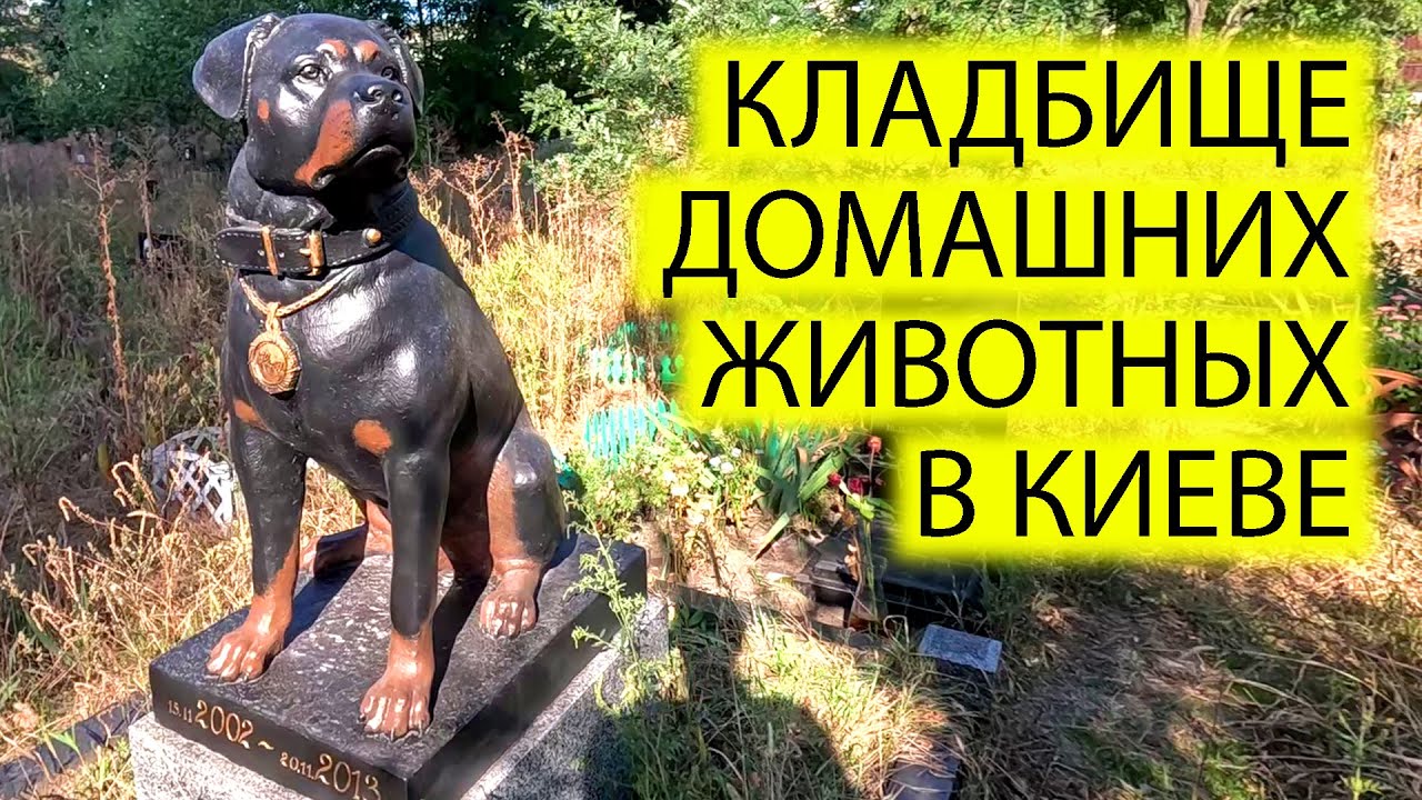 ⛰️КЛАДБИЩЕ ДОМАШНИХ ЖИВОТНЫХ В КИЕВЕ | 2500$ ЗА ПАМЯТНИК | УКРАИНА СЕГОДНЯ