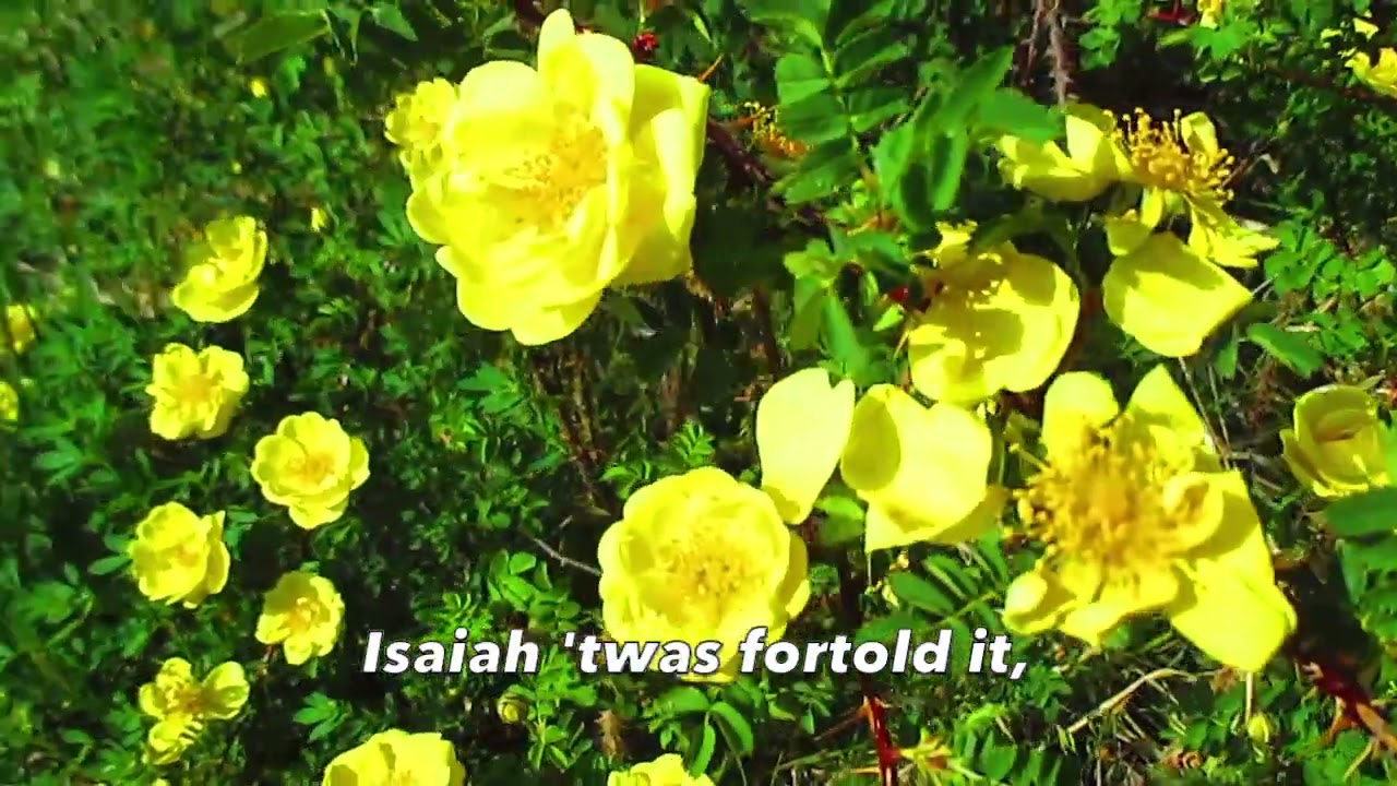 Christian Gospel Song #126  -  