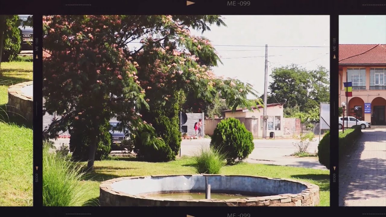 Bechet oraș din județul Dolj, Oltenia, România