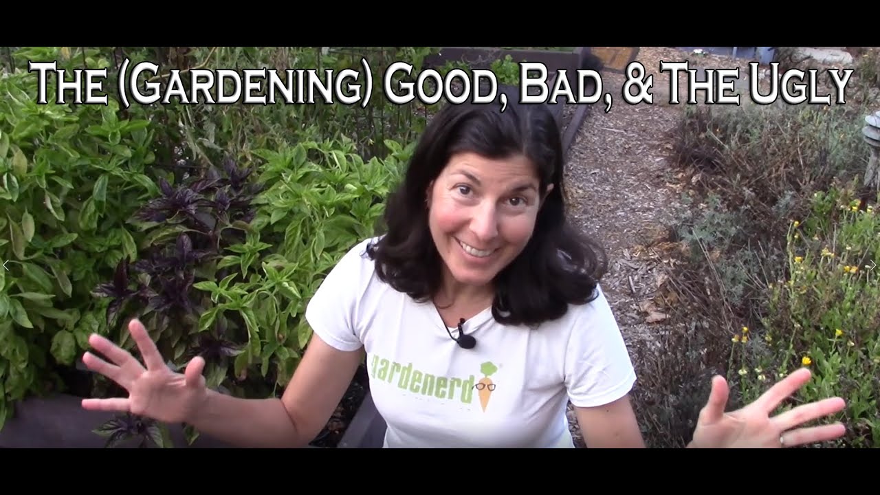 Summer Gardenerd HQ Tour - The Good, The Bad, and the Gardening Ugly