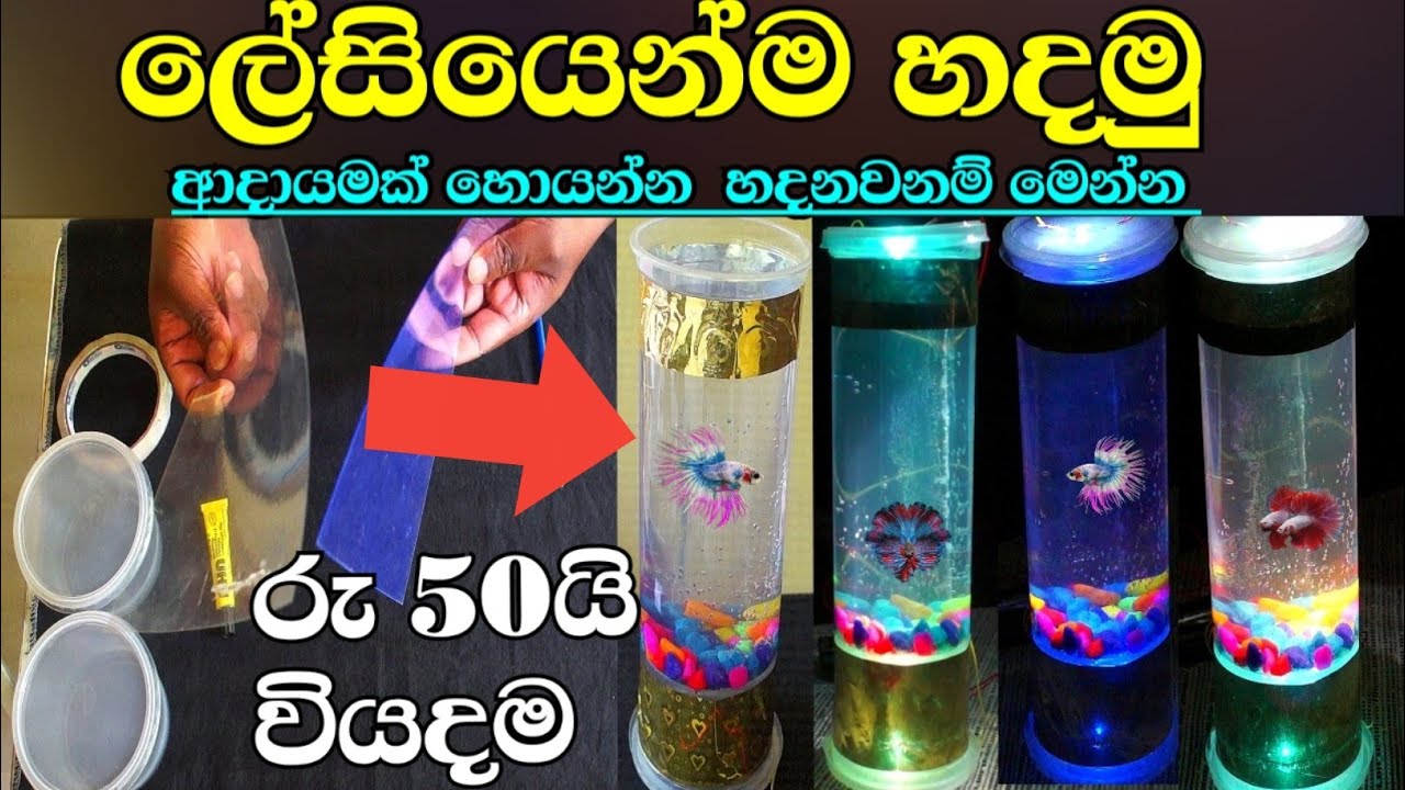 Mini Aquarium making at home | How to make a fish tank Dry | how to make fish tank low prices | sl