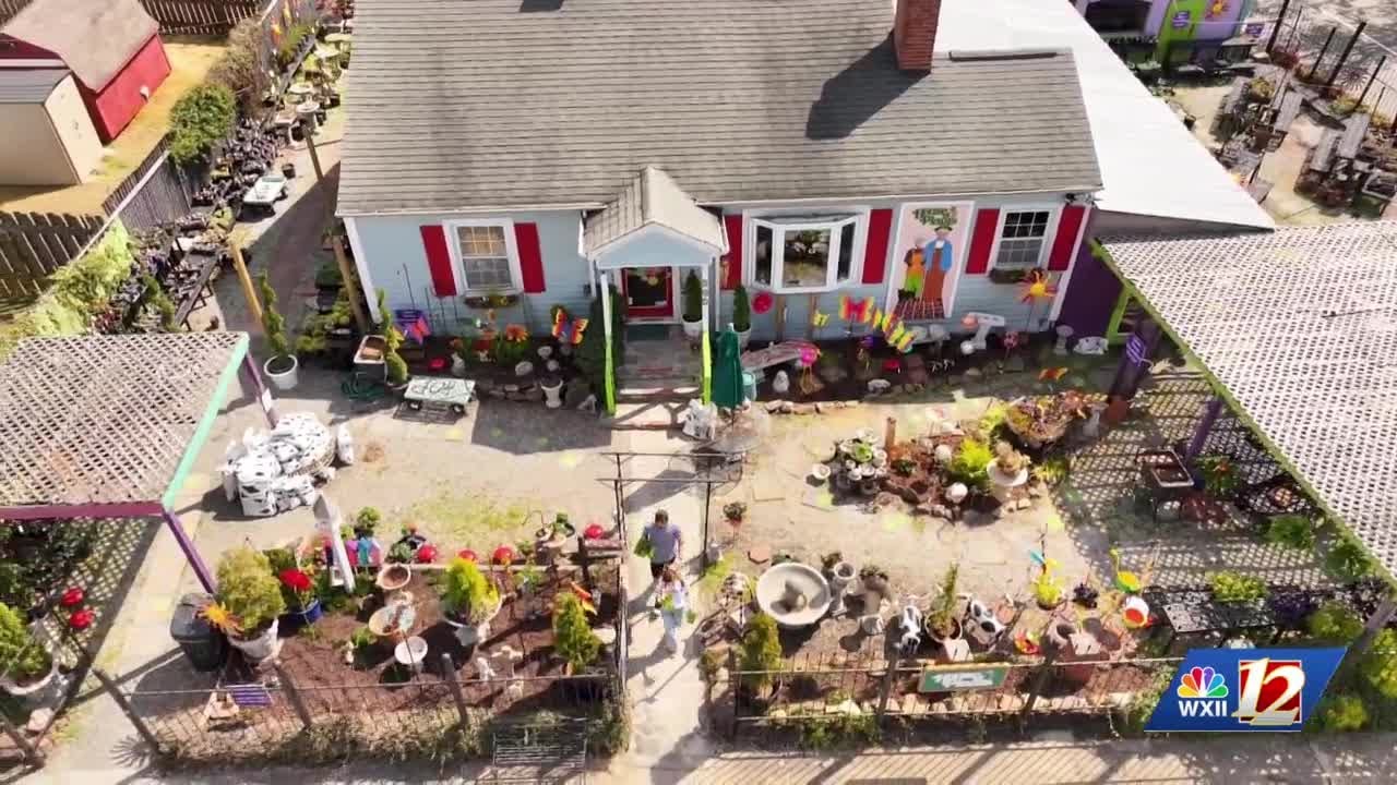 Сеть магазинов House of Plants отмечает 50-летие своего существования с началом весеннего сезона.