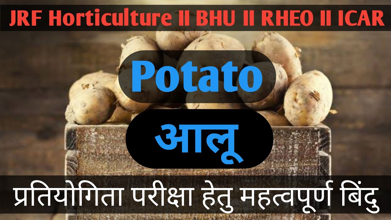 Potato for JRF Horticulture II potato cultivation II important points on Potato II Potato