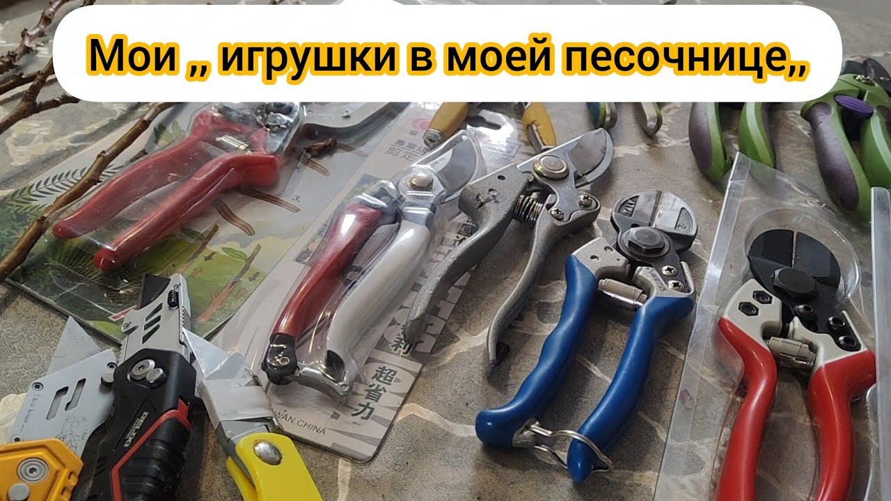 Прогноз на урожай абрикоса неутешительный.
