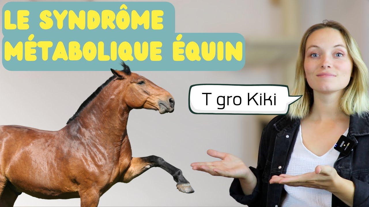 SME ou SYNDRÔME MÉTABOLIQUE ÉQUIN - Qu'est-ce que cette sorcellerie ?