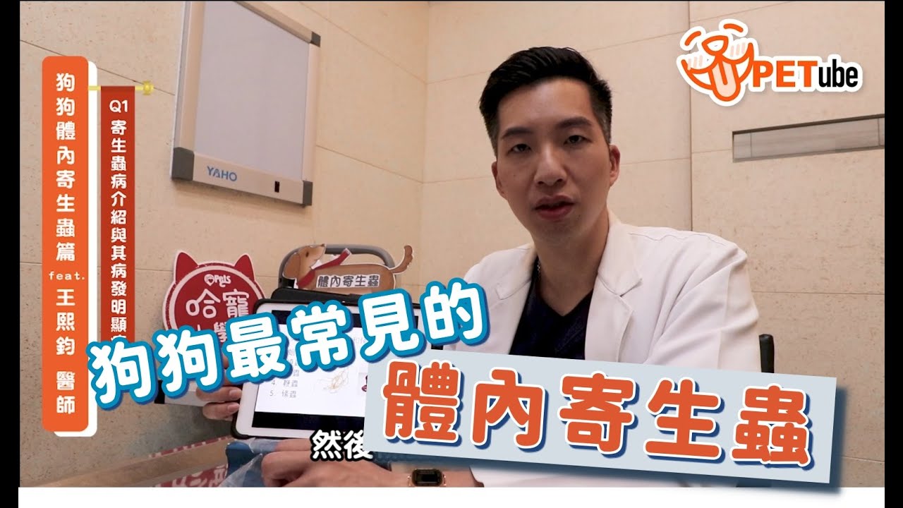 【🎥#哈寵PETube】 第129集 狗狗體內寄生蟲篇 feat.王熙鈞醫師