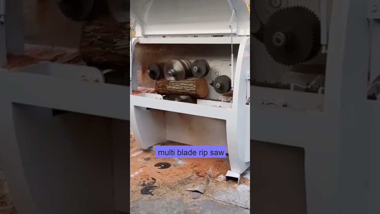 multi blade rip saw for round logs testing video in white color machine