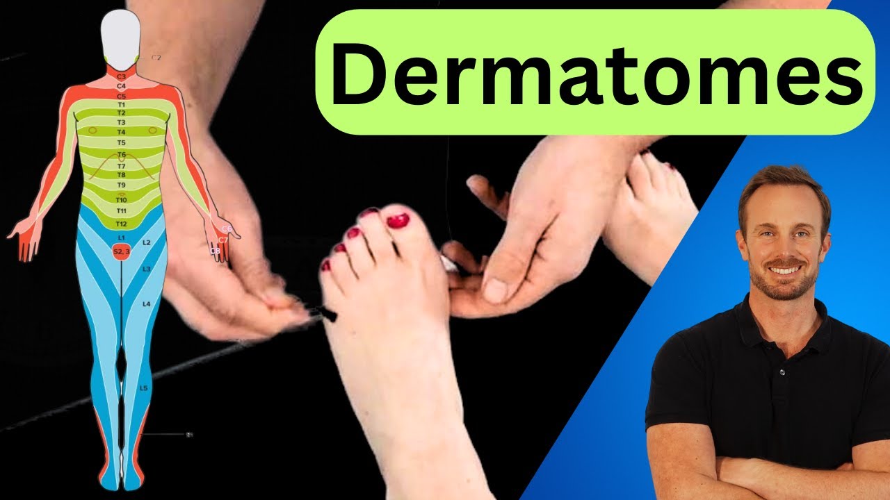LOWER LIMB DERMATOMES | Neurological Test