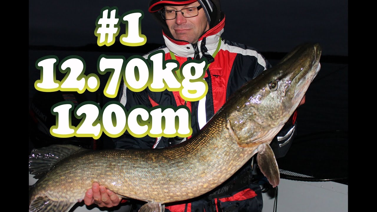 Gädda 10kg+ del 1, 12.70kg